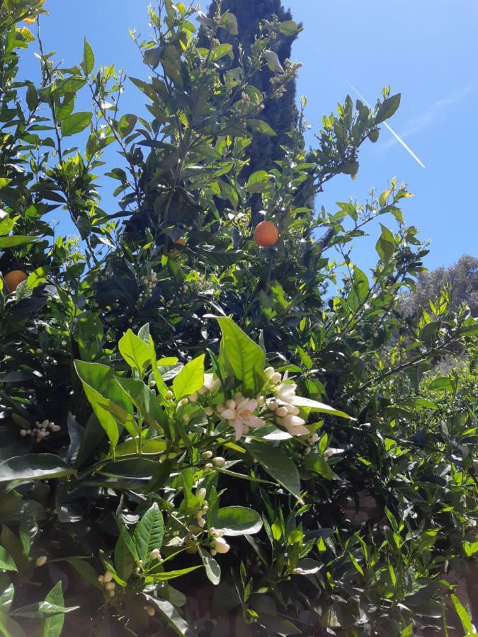 Villa Crapa Licca Ventimiglia di Sicilia Exterior foto